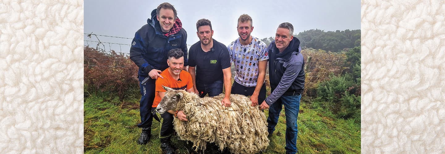 Photo of five people posing with a sheep